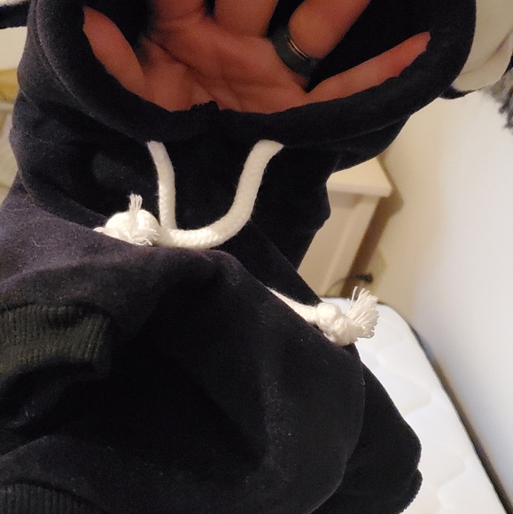 Lot of Dog Clothes - Picture 9 of 9